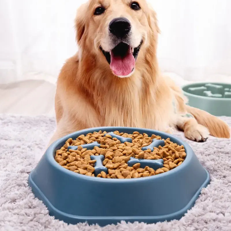 Premium Slow Feeder Pets Bowls