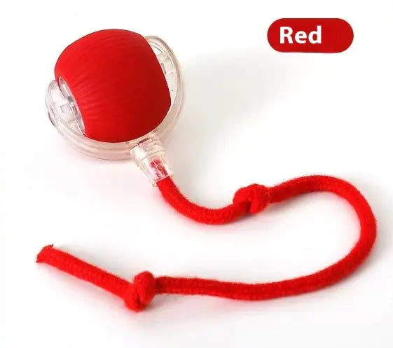Double Speedy Tail Pet Toy Ball