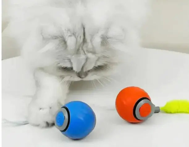 Double Speedy Tail Pet Toy Ball