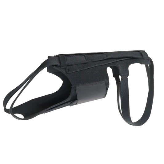 Dog Back Brace for IVDD Arthritis and Recovery