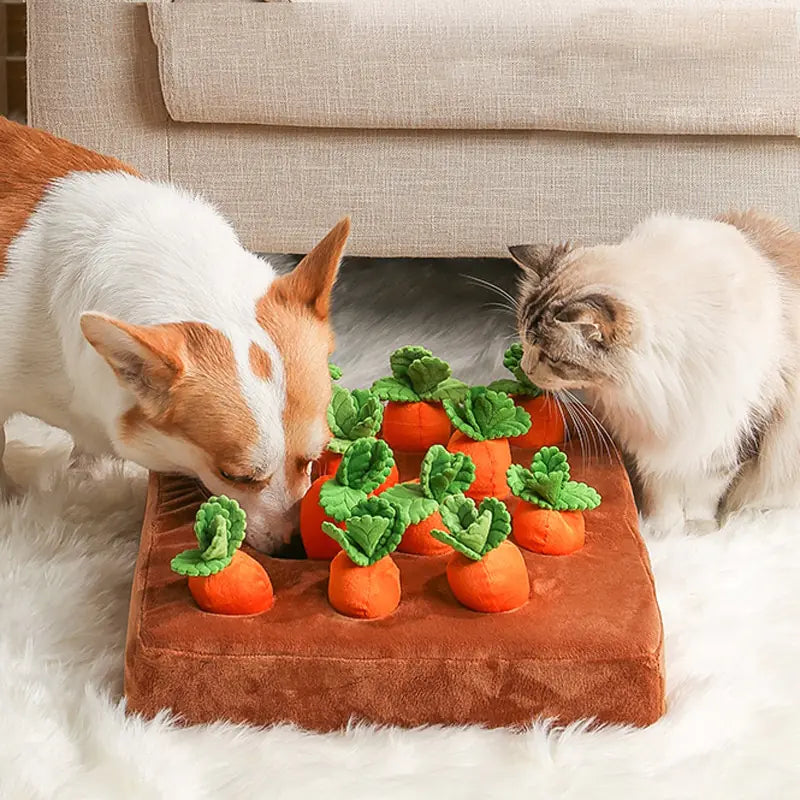 Pet Plush Food Chew Toys for Dogs and Cats