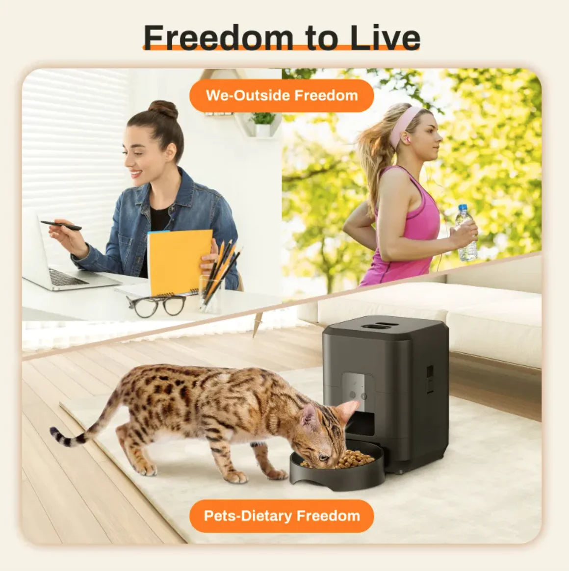 Feeding Made Easy with the Automatic Pet Feeder