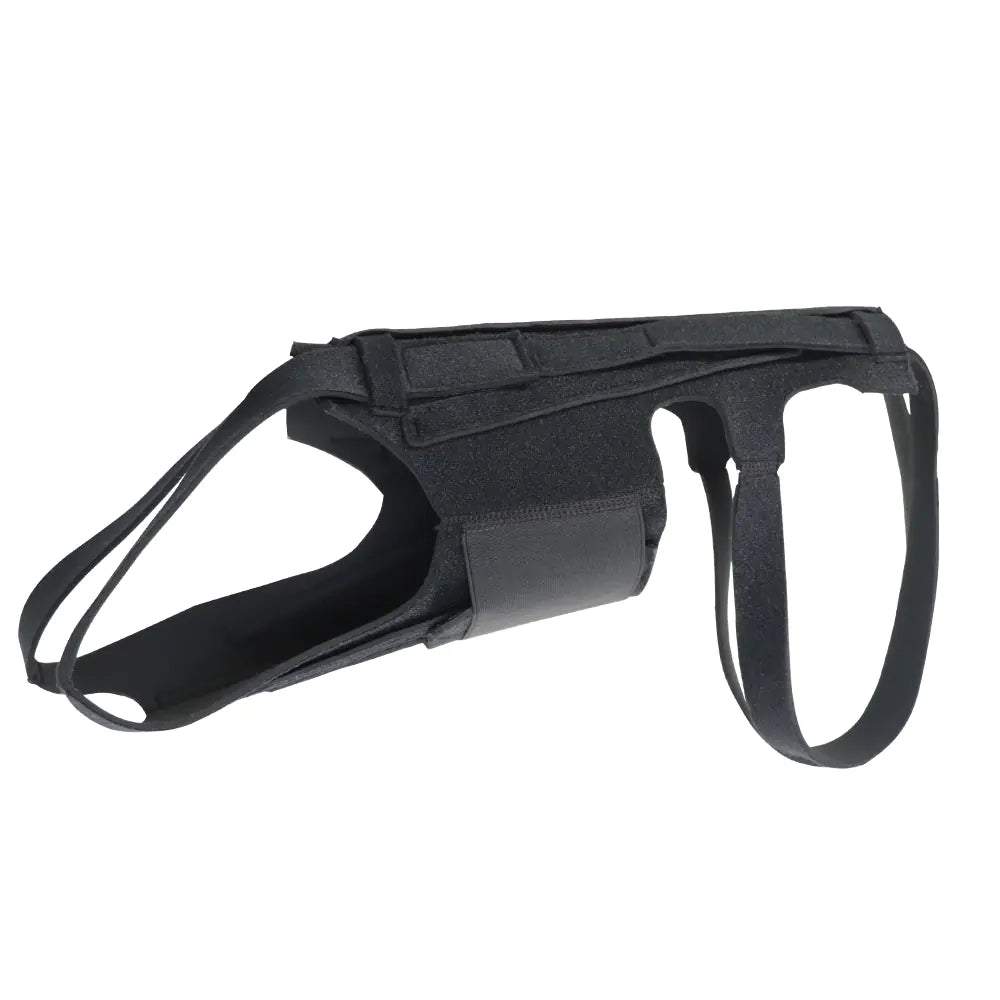 Dog Back Brace for IVDD Arthritis and Recovery