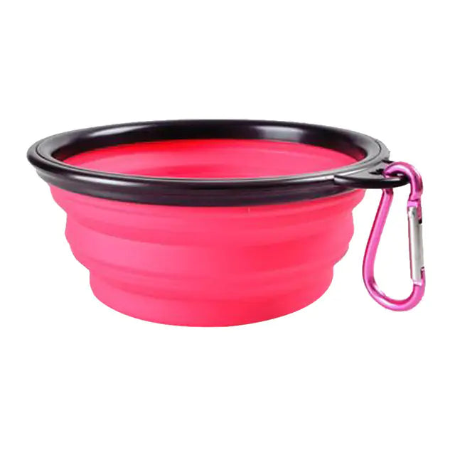 Feeding & Bowls