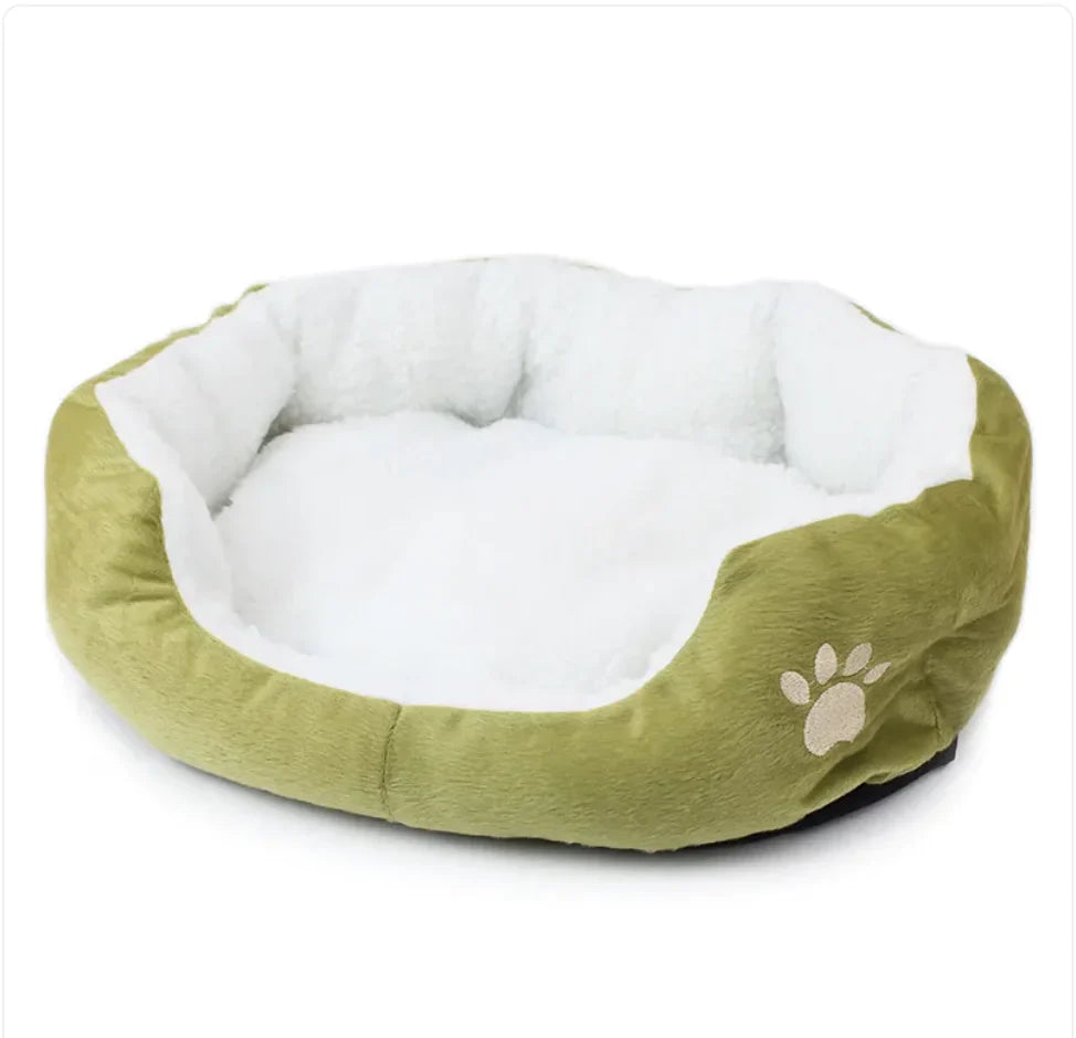 Beds & Comfort