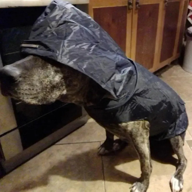 Original Raincoat Pet Supplies