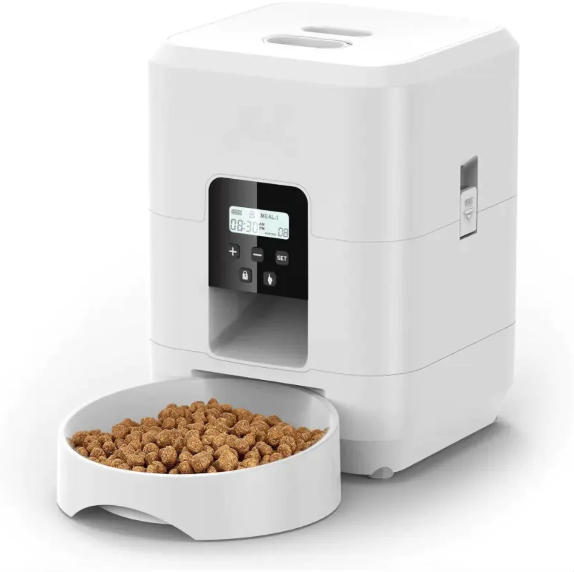 Feeding Made Easy with the Automatic Pet Feeder