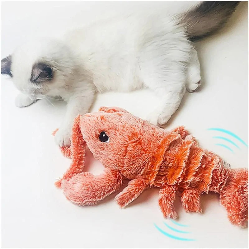 Durable Pet Toy for Active Play and Training