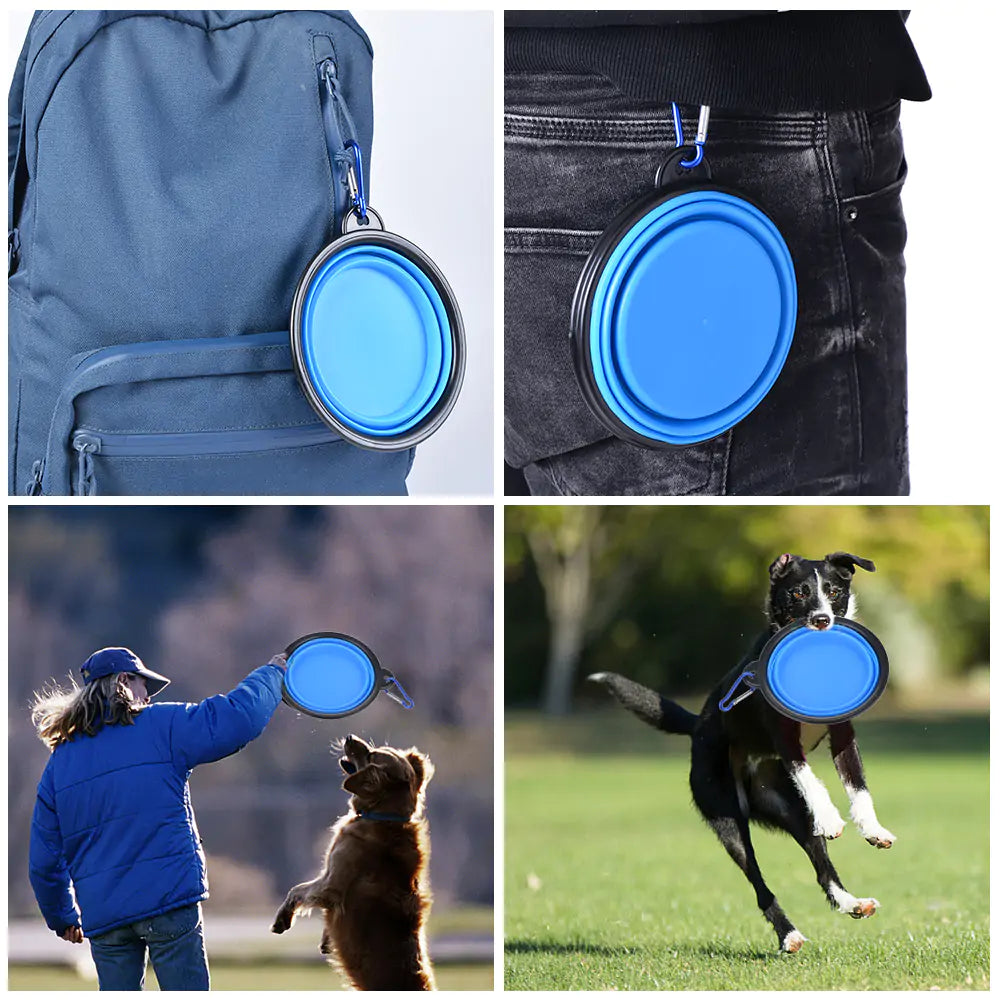 Normal Collapsible Pets Bowl for Pets