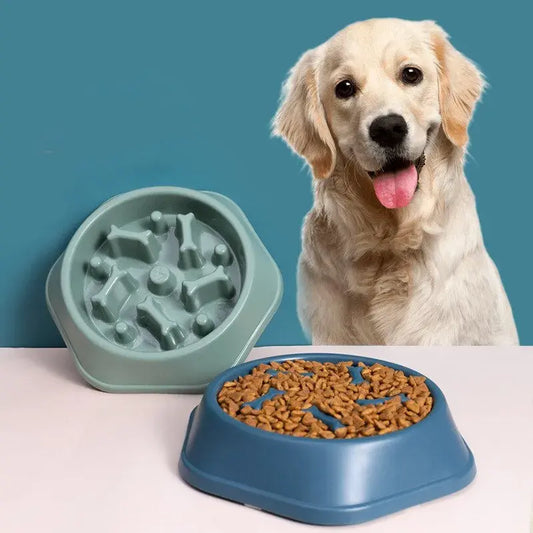 Premium Slow Feeder Pets Bowls