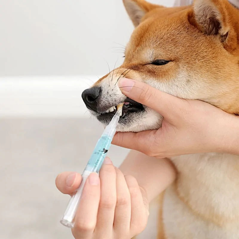 Premium Pets Teeth Cleaning Tool