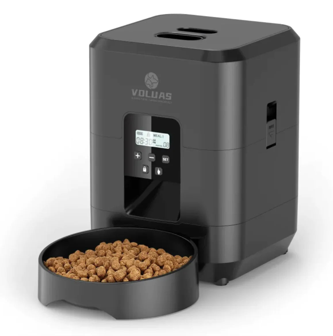 Feeding Made Easy with the Automatic Pet Feeder
