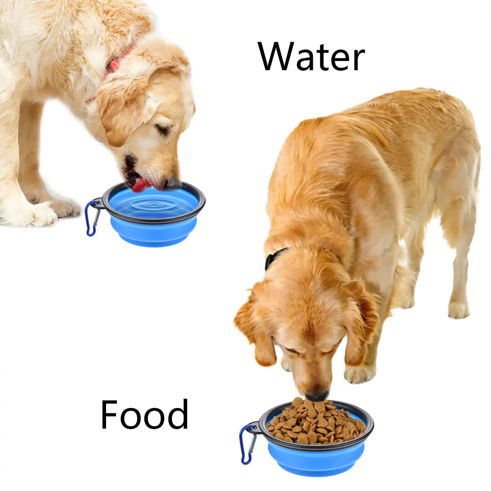 Normal Collapsible Pets Bowl for Pets