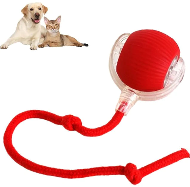 Premium Smart Rolling Pet Ball