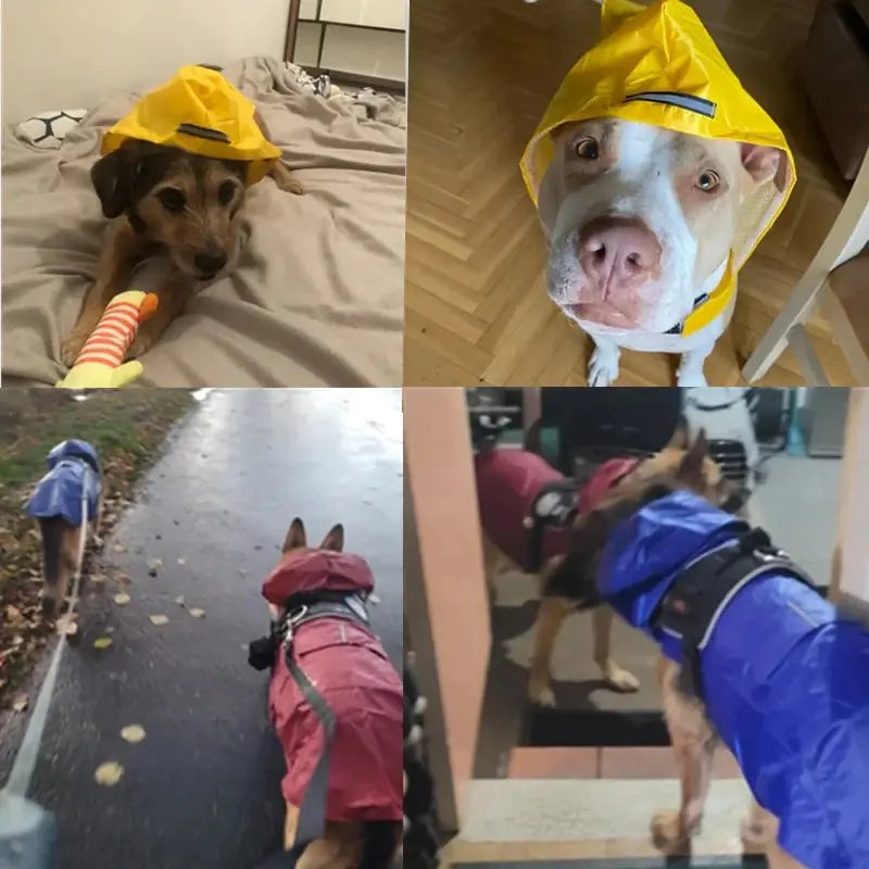 Original Raincoat Pet Supplies