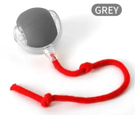 Double Speedy Tail Pet Toy Ball