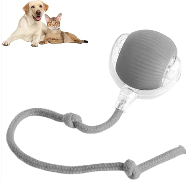 Premium Smart Rolling Pet Ball