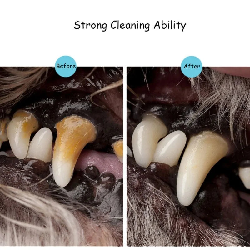 Premium Pets Teeth Cleaning Tool