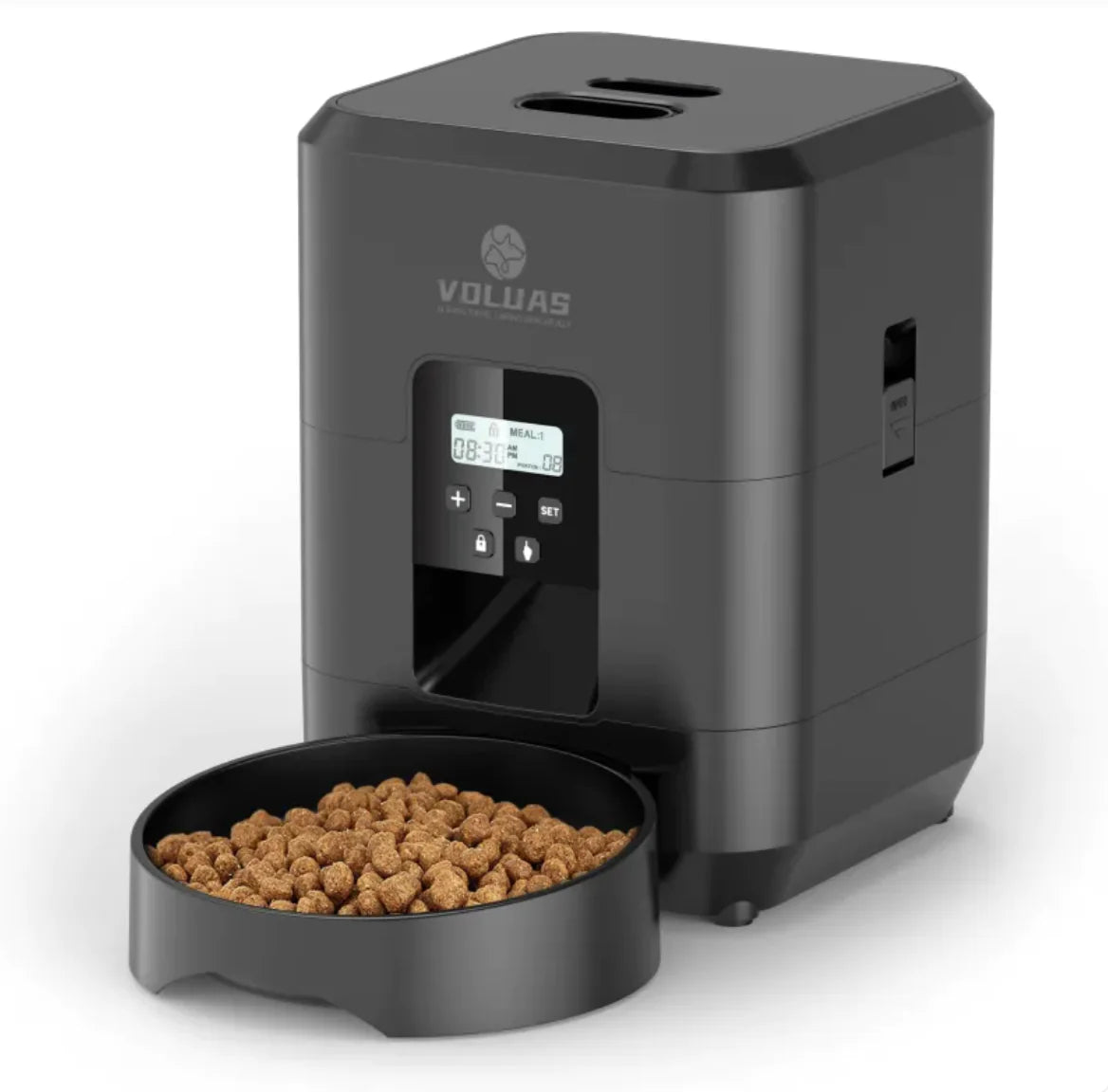 Feeding Made Easy with the Automatic Pet Feeder
