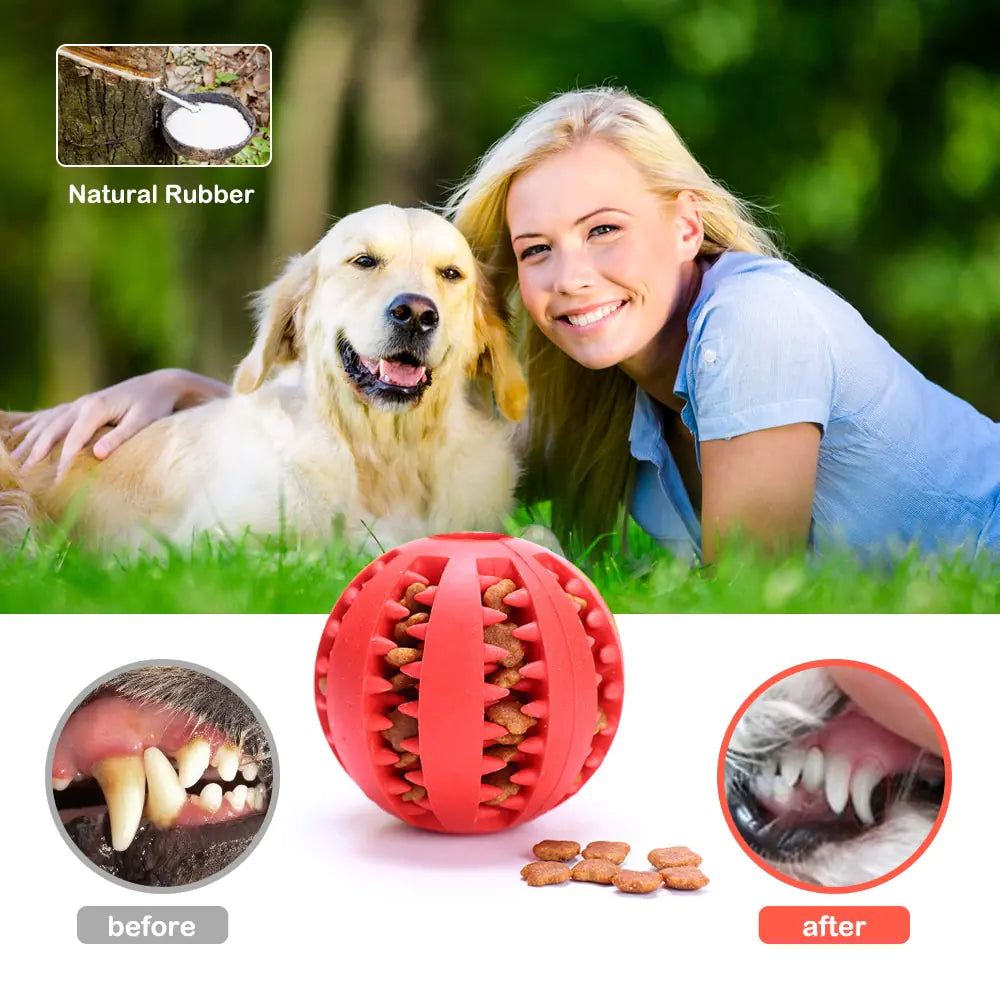 Rubber Balls Chewing Pets Toys