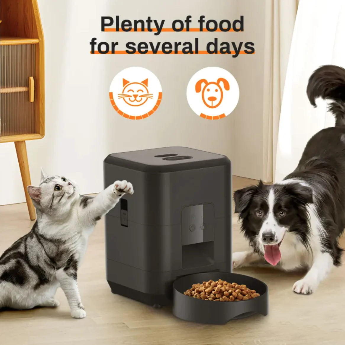 Feeding Made Easy with the Automatic Pet Feeder
