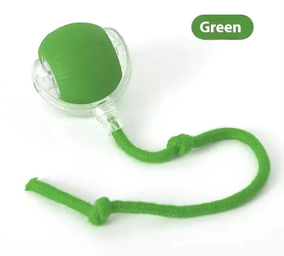 Double Speedy Tail Pet Toy Ball