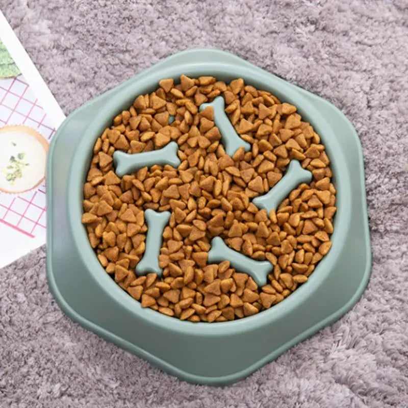 Premium Slow Feeder Pets Bowls