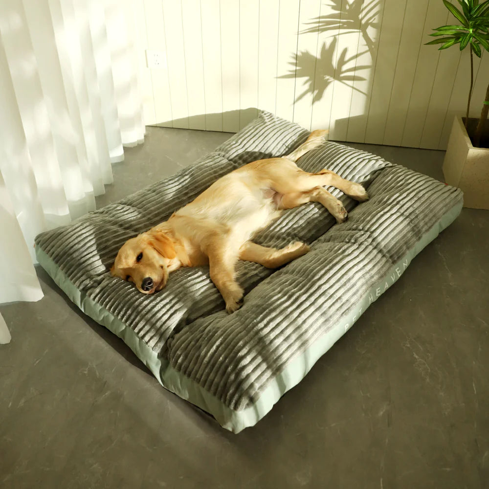 Premium Pure Clean Washable Pet Bed