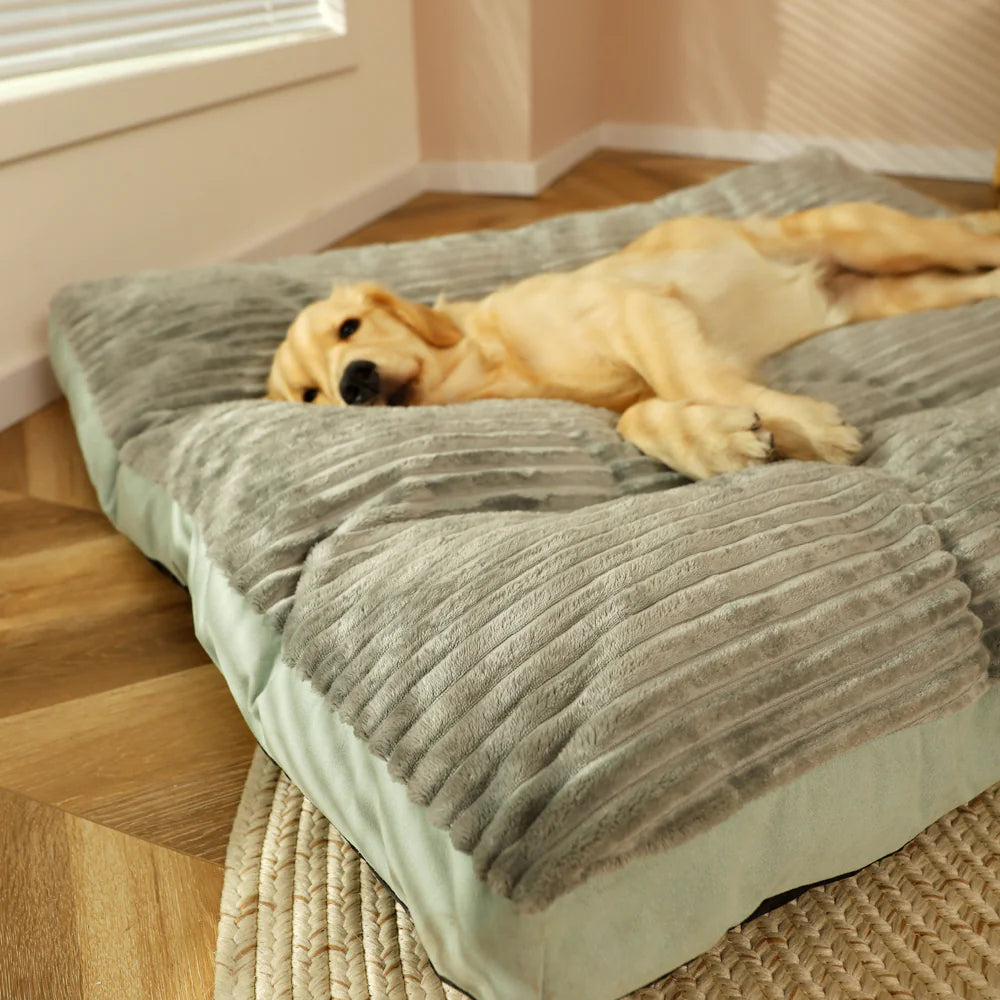 Premium Pure Clean Washable Pet Bed