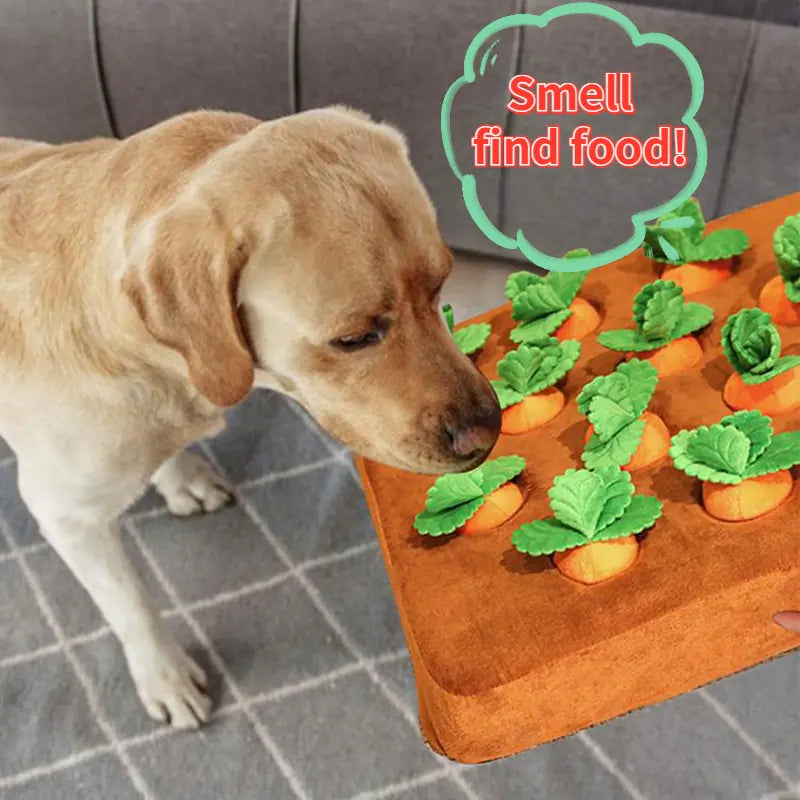 Pet Plush Food Chew Toys for Dogs and Cats