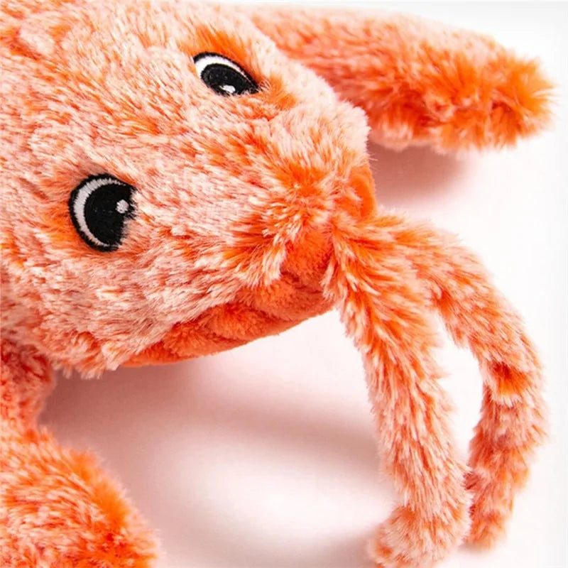 Durable Pet Toy for Active Play and Training