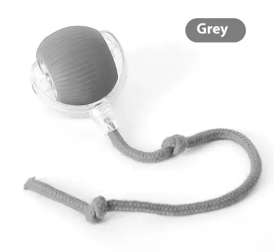 Double Speedy Tail Pet Toy Ball