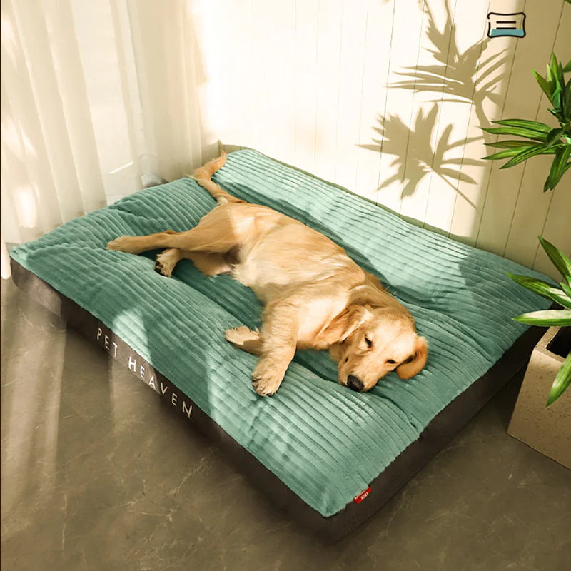 Premium Pure Clean Washable Pet Bed