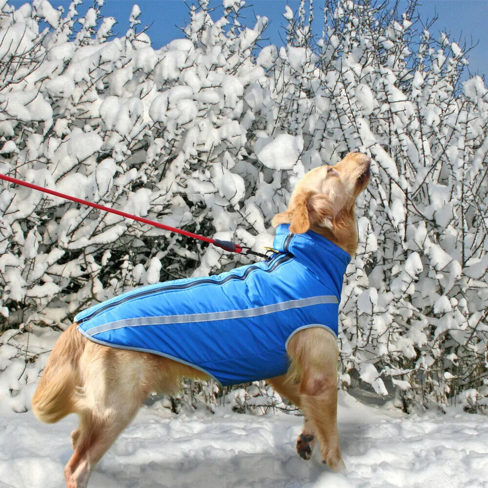 Premium Waterproof Large Dog Clothes