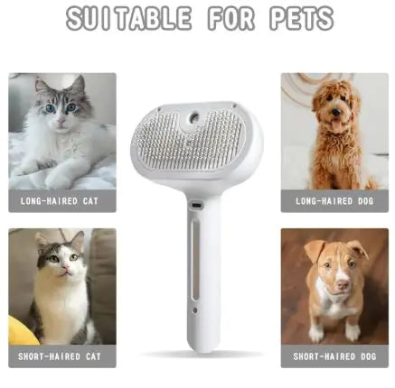 Comfortable Steamy Brush Pet Spray
