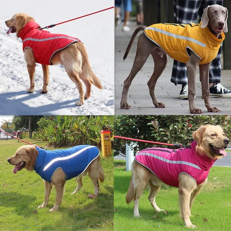 Premium Waterproof Large Dog Clothes
